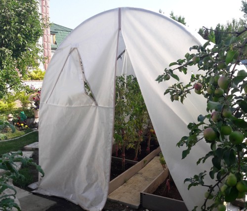 ������������ ����� ��� ������� "���������" ����� 5 �